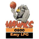 https://img.oursanya.com/img/basketball/team/08978aac5ee1e470f28c3b19a09f3b2a.png