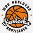 https://img.oursanya.com/img/basketball/team/0c2f73d2ab7041cf90029a20deff7f17.gif