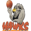 https://img.oursanya.com/img/basketball/team/4ad56c57b7214942a503892b9f111d6e.png