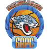 https://img.oursanya.com/img/basketball/team/9008e0eb5cdc9f3e587e5838c6201832.png