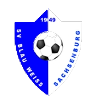 https://img.oursanya.com/img/football/team/1cde488d47b598d2eed91775e6786258.png