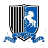 https://img.oursanya.com/img/football/team/31ed3d3aec45e4ad8f335c2250856bb4.png