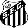 https://img.oursanya.com/img/football/team/674171a5ca8e8fd3a9784bec35afb185.png