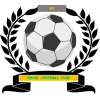 https://img.oursanya.com/img/football/team/6dc6d59af2f0962597b412473a6708ee.png