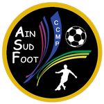 https://img.oursanya.com/img/football/team/a536ffbc623217e1ee3589718bb71517.png