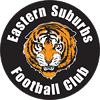 https://img.oursanya.com/img/football/team/e44c29b32da1d60beb1d4693d8f06197.png